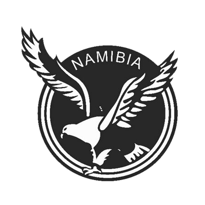 Namibia national football team logo, suitable for baby products like bodysuits and hats at pacifier-baby.com.\n\nCapti