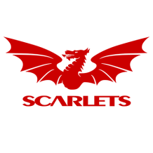 Llanelli Scarlets logo designed for baby products, perfect for enhancing your little one’s collection.\n\nCaption: Cel