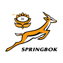 South Africa Rugby XV logo featuring a jumping springbok, perfect for baby apparel and accessories.\n\nCaption: Celebr