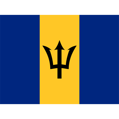 Official Flag of Barbados designed for baby products, perfect for a unique and stylish addition to your little one\'s 