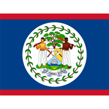 Official Flag of Belize, featuring vibrant colors suitable for baby products like bodysuits and bibs.\n\nCaption: Cele