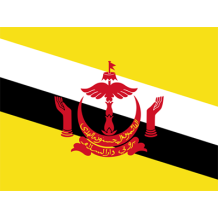 Official Flag of Brunei Darussalam design for baby products.\n\nCaption: Celebrate cultural pride with the Official Fl