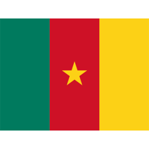 Official Flag of Cameroon, vibrant colors perfect for decorating baby items and celebrating cultural pride.\n\nCaption