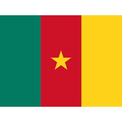 Official Flag of Cameroon, vibrant colors perfect for decorating baby items and celebrating cultural pride.\n\nCaption
