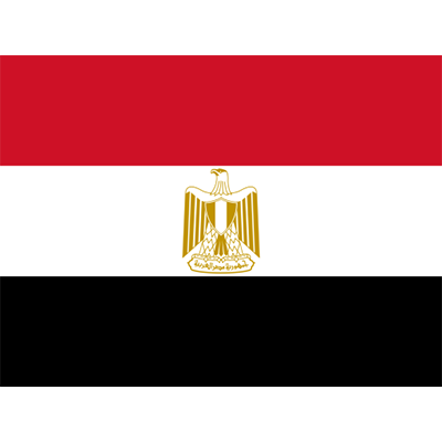 Official Flag of Egypt design suitable for baby products like bodysuits and hats. \n\nCaption: Show your pride with ou