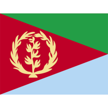 Official Flag of Eritrea, designed for baby products like bodysuits and bibs.\n\nCaption: Celebrate your little one\'s