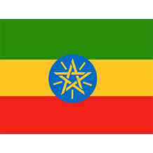 Official Flag of Ethiopia displayed, suitable for baby items like bibs and bodysuits.\n\nCaption: Celebrate your herit