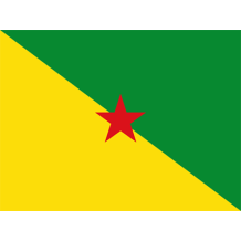 Official Flag of French Guiana, perfect for baby accessories like bibs, hats, and pacifiers at pacifier-baby.com.\n\nC