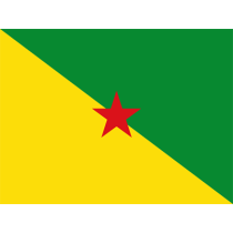 Official Flag of French Guiana, perfect for baby accessories like bibs, hats, and pacifiers at pacifier-baby.com.\n\nC