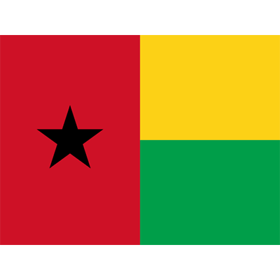 Official Flag of Guinea design, featuring red, yellow, and green colors, ideal for baby clothing and accessories.\n\nC