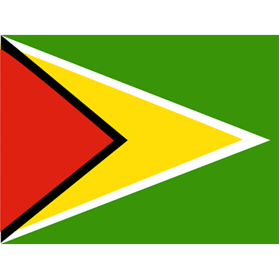 Official Flag of Guyana design, perfect for baby items like bodysuits and hats.\n\nCaption: Celebrate your little one’