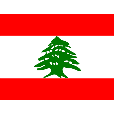 Official Flag of Lebanon design for baby products like pacifiers and bodysuits.\n\nCaption: Celebrate heritage with ou
