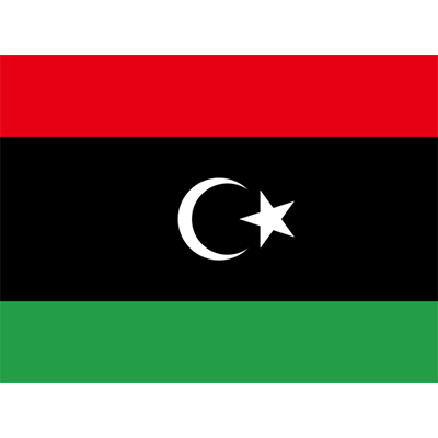 Official Flag of Libya, a colorful fabric design suitable for baby items like bibs and bodysuits.\n\nCaption: Celebrat