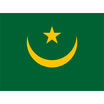 Official Flag of Mauritania, ideal for baby items like bibs and hats at pacifier-baby.com.\n\nCaption: Celebrate your 