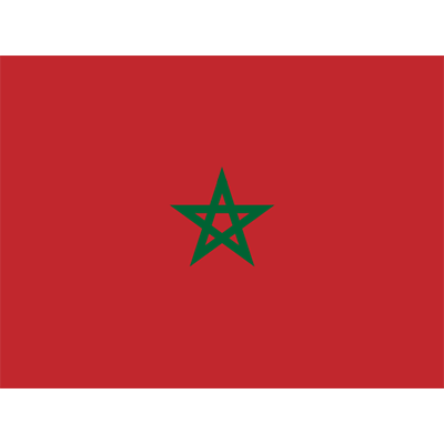 Official Flag of Morocco design for baby products like pacifiers, clips, and bodysuits, perfect for your little one.\n