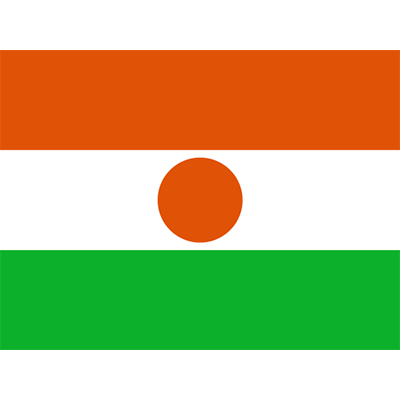 Official Flag of Niger design for baby products like bodysuits, bibs, and pacifiers.\n\nCaption: Celebrate your little