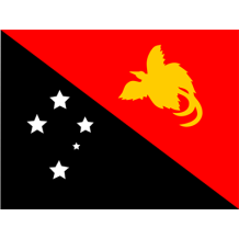 Official Flag of Papua New Guinea, ideal for baby items like bodysuits and bibs at pacifier-baby.com.\n\nCaption: Cele