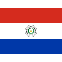 Flag of Paraguay displayed on baby products like pacifiers and accessories.\n\nCaption: Celebrate your little one\'s h