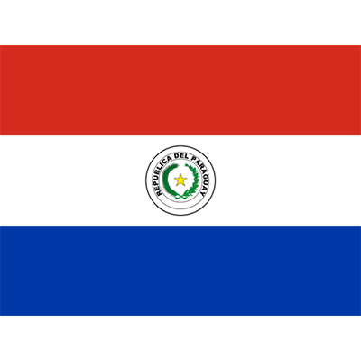 Flag of Paraguay displayed on baby products like pacifiers and accessories.\n\nCaption: Celebrate your little one\'s h