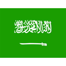 Official flag of Saudi Arabia, featured in a collection of baby items like pacifiers and bodysuits.\n\nCaption: Celebr