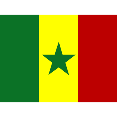 Official Flag of Senegal displayed on a baby bodysuit, perfect for tiny fans of this vibrant culture.\n\nCaption: Cele
