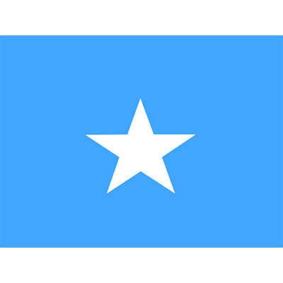 Official Flag of Somalia design, featured on baby products like pacifiers and bodysuits.\n\nCaption: Celebrate heritag