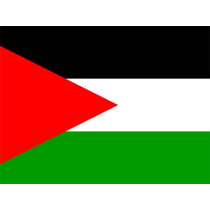 Official Flag of the State of Palestine designed for baby products like bibs, hats, and bodysuits.\n\nCaption: Celebra