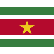 Official Flag of Suriname, vibrant colors, ideal for baby items like bodysuits and bibs at pacifier-baby.com.\n\nCapti