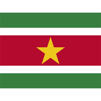 Official Flag of Suriname, vibrant colors, ideal for baby items like bodysuits and bibs at pacifier-baby.com.\n\nCapti