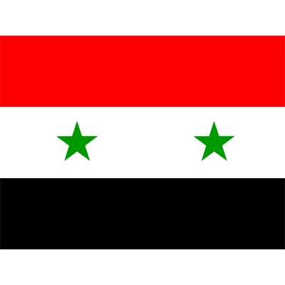 Official Flag of the Syrian Arab Republic, suitable for baby items and accessories.\n\nCaption: Celebrate with the Off