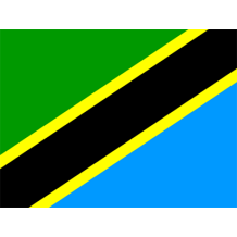 Official Flag of Tanzania design on baby products like pacifiers and bibs available at pacifier-baby.com.\n\nCaption: 