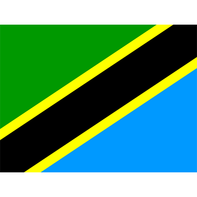 Official Flag of Tanzania design on baby products like pacifiers and bibs available at pacifier-baby.com.\n\nCaption: 