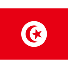 Official Flag of Tunisia in vibrant red and white, perfect for decorating baby products.\n\nCaption: Celebrate your he