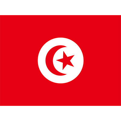 Official Flag of Tunisia in vibrant red and white, perfect for decorating baby products.\n\nCaption: Celebrate your he
