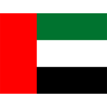 Official Flag of the United Arab Emirates, perfect for themed baby items like bodysuits and bibs. \n\nCaption: Celebra