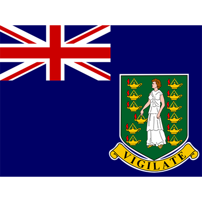 Official Flag of the Virgin Islands, perfect for baby items like bodysuits, hats, and accessories.\n\nCaption: Celebra