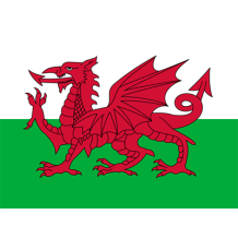 Official Flag of Wales design, suitable for baby products like bibs and bodysuits at pacifier-baby.com.\n\nCaption: Ce