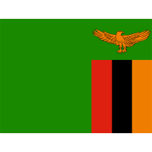 Official Flag of Zambia design featured on baby products like bodysuits and bibs.\n\nCaption: Celebrate your little on