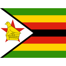 Flag of Zimbabwe, colorful design with yellow, green, red, black stripes and a star featuring a bird.\n\nCaption: Cele