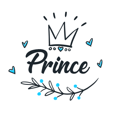 A stylish black prince crown design suitable for baby products, featuring elegant details and a playful look.\n\nCapti
