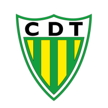 Logo of Clube Desportivo de Tondela on a shield-shaped design in green and yellow.\n\nCaption: Celebrate your little o