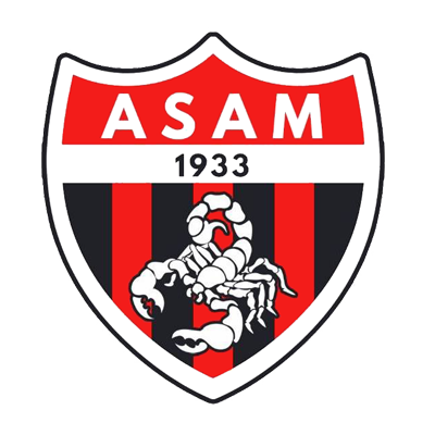 Logo of Association sportive d\'Aïn M\'lila, featuring a scorpion, ideal for baby items.\n\nCaption: Explore our colle