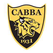 Chabab Ahly Bordj Bou Arreridj logo featuring a roaring tiger on a shield, ideal for baby products.\n\nCaption: Discov