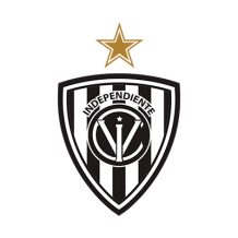 Independiente del Valle logo featuring black and white stripes with a gold star for baby products.\n\nCaption: Discove
