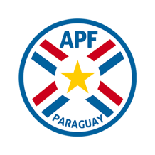 A Paraguay national football team logo for baby products like pacifiers and bodysuits.\n\nCaption: Celebrate your litt